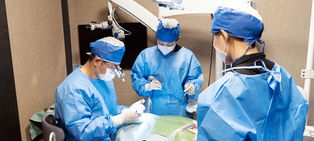 ザイゴマインプラント